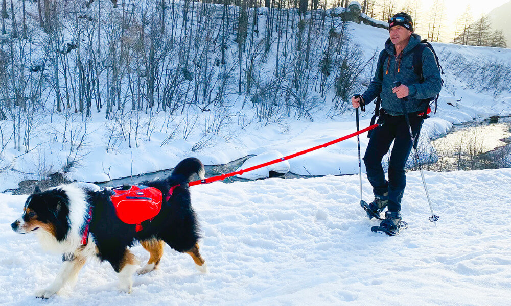 Comfort Trek Packtaschen für Comfort Trek Geschirr von i-Dog