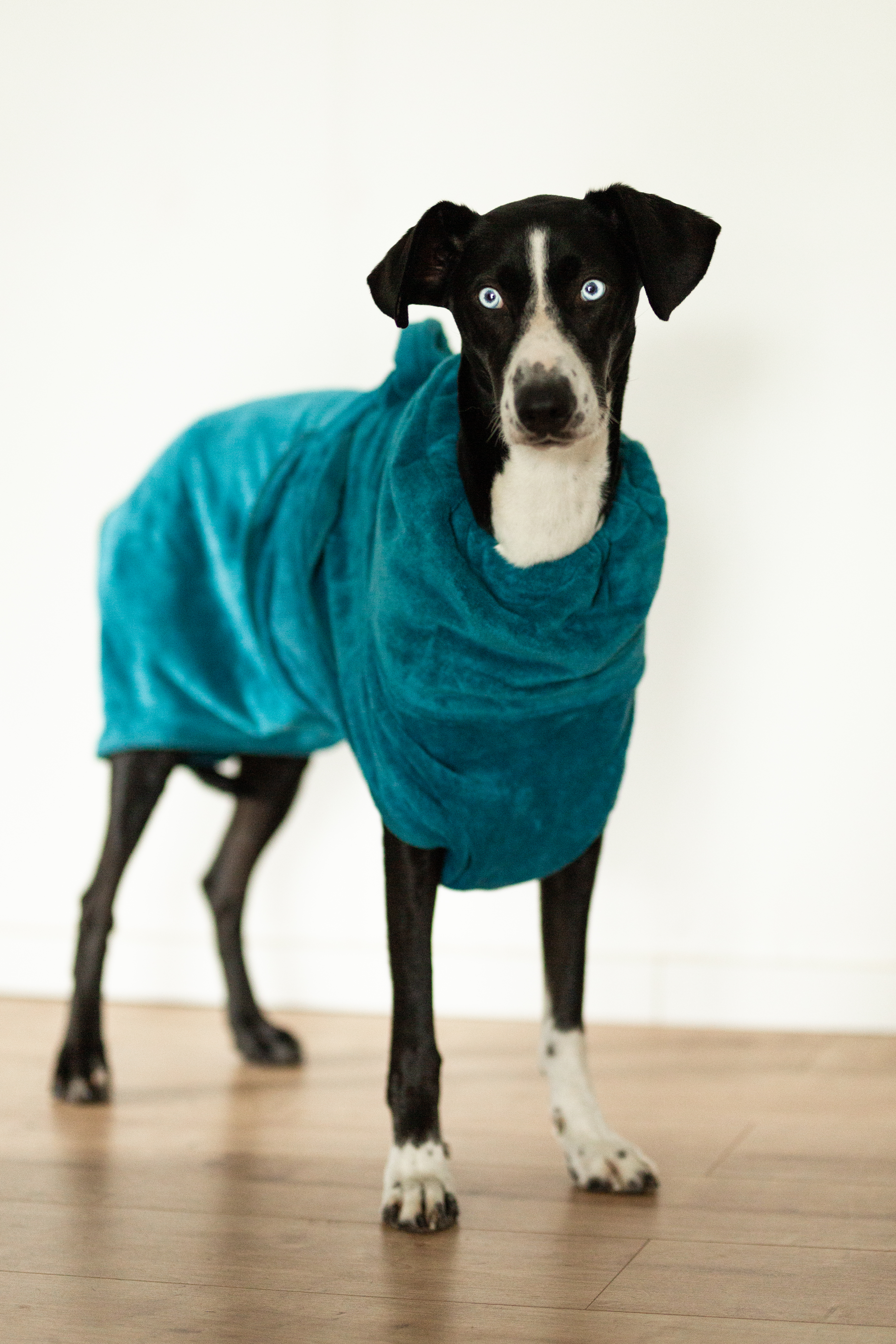 Hundebademantel Microfaser