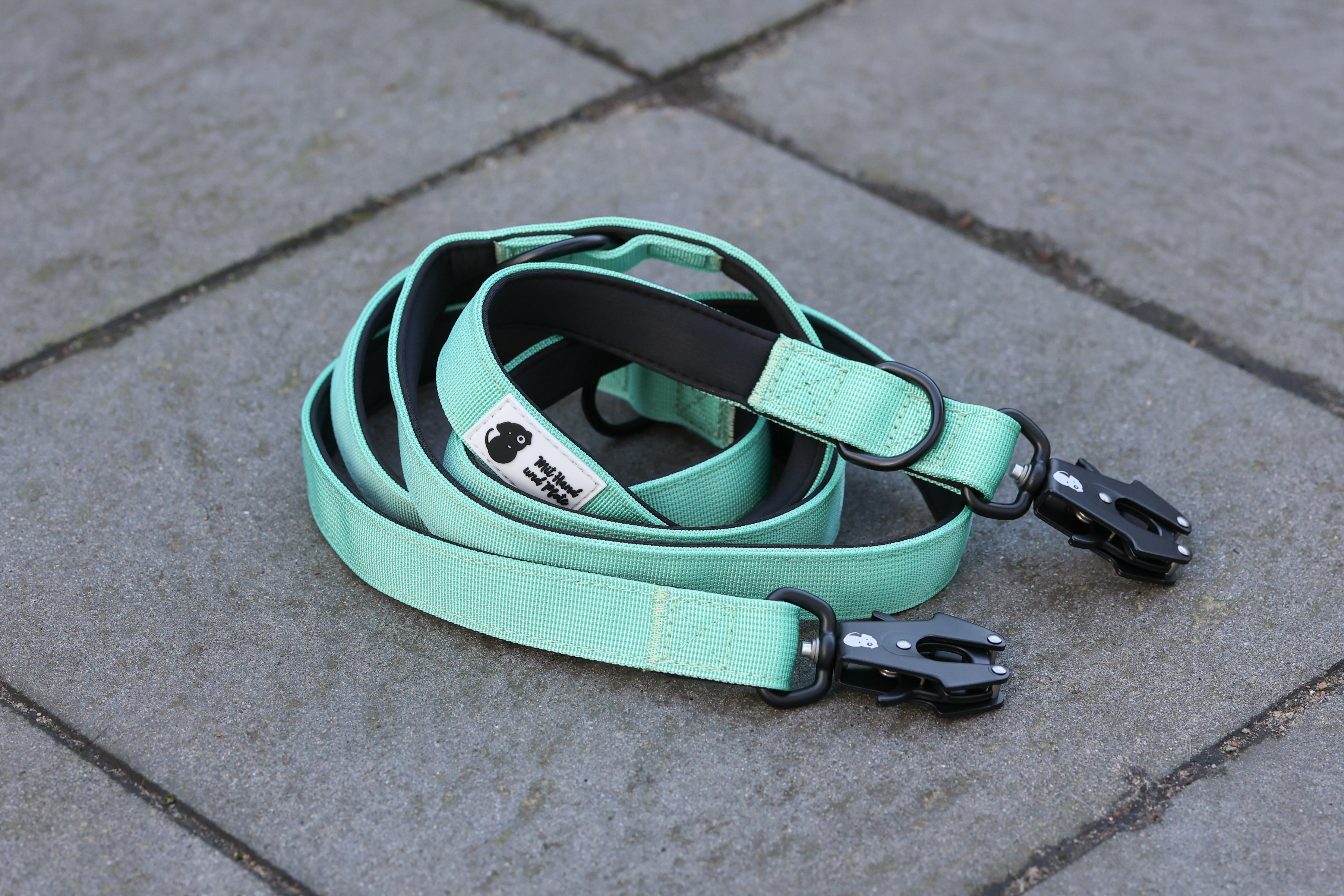 Hundeleine Secure mit Sicherheitskarabiner mint