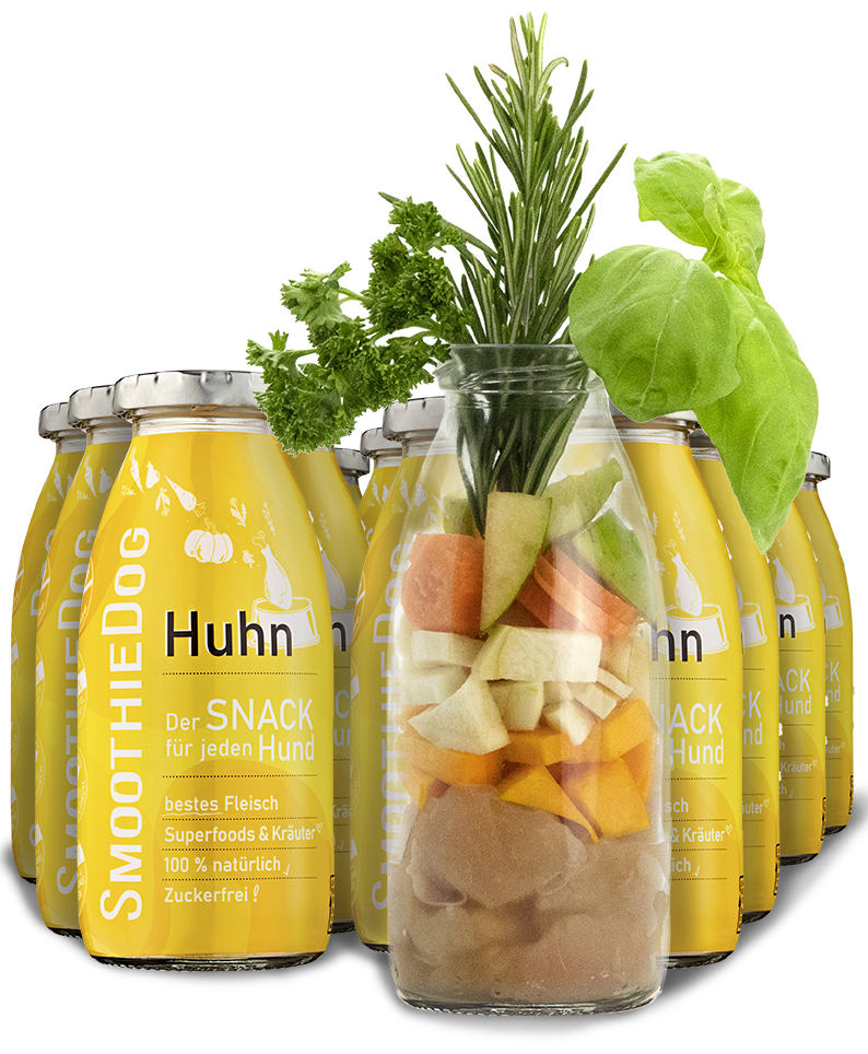SmoothieDog Hunde Smoothie Huhn
