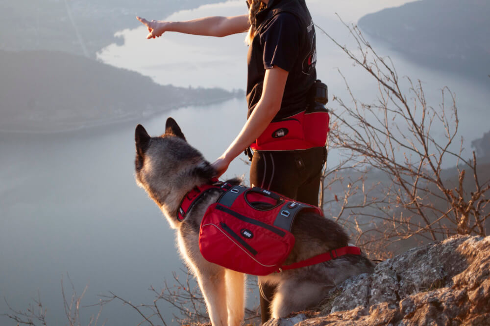 Comfort Trek Packtaschen für Comfort Trek Geschirr von i-Dog