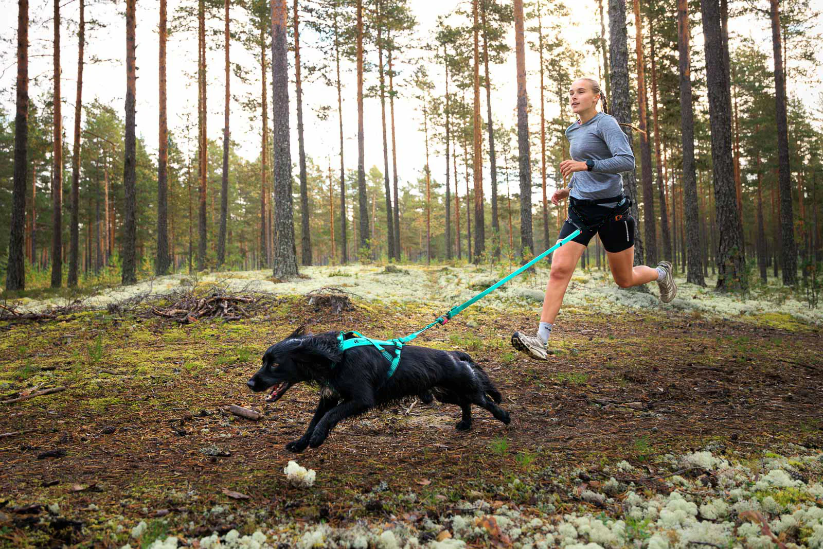 Zugleine Bungee Leash Aqua von Non-stop dogwear
