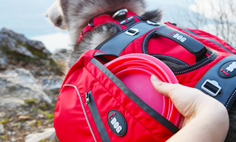 Comfort Trek Packtaschen für Comfort Trek Geschirr von i-Dog