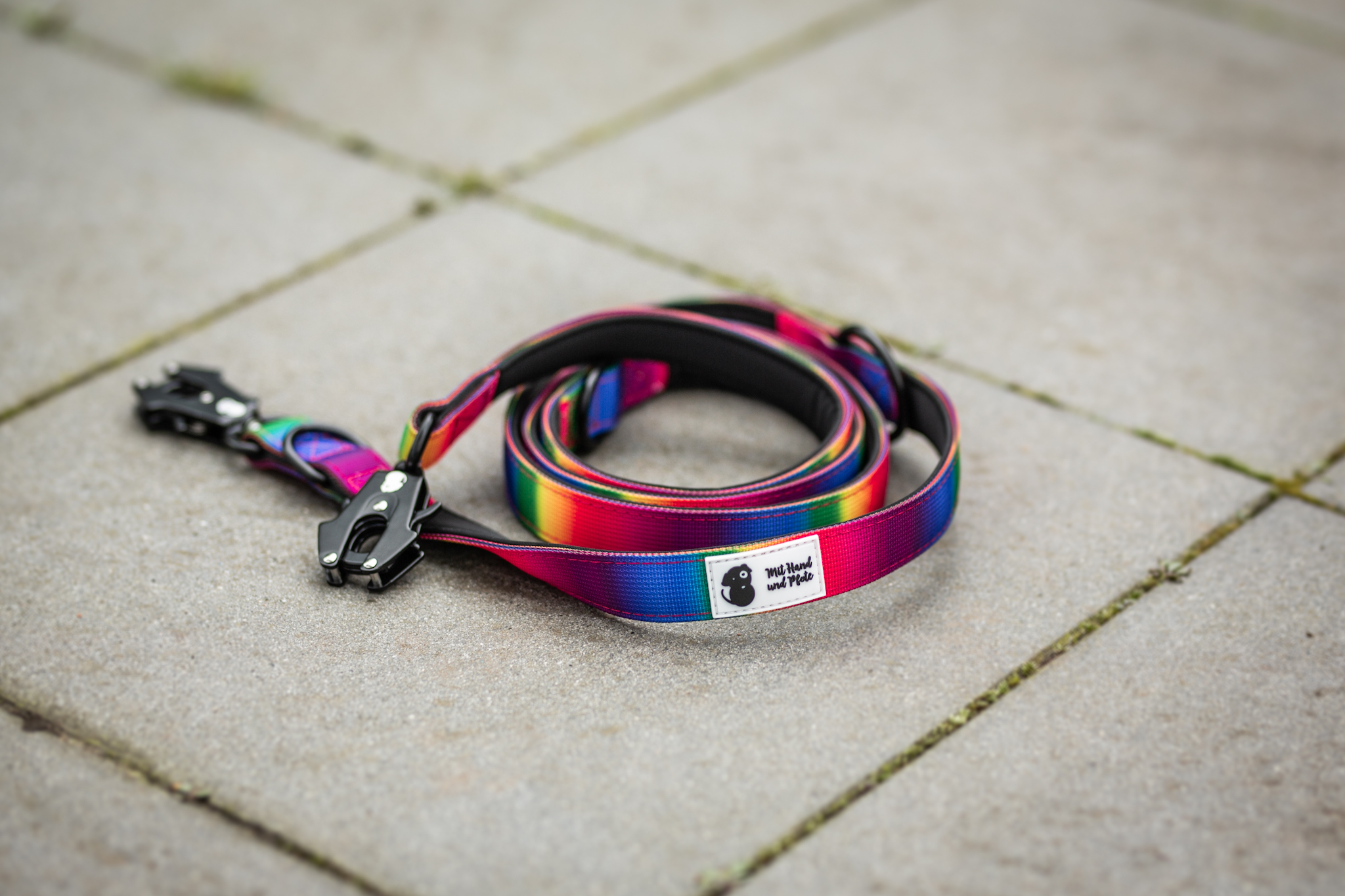 Hundeleine Secure mit Sicherheitskarabiner Pride Edition 