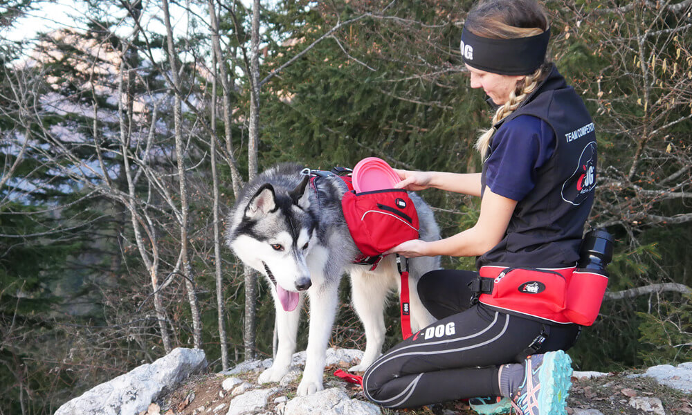 Comfort Trek Packtaschen für Comfort Trek Geschirr von i-Dog