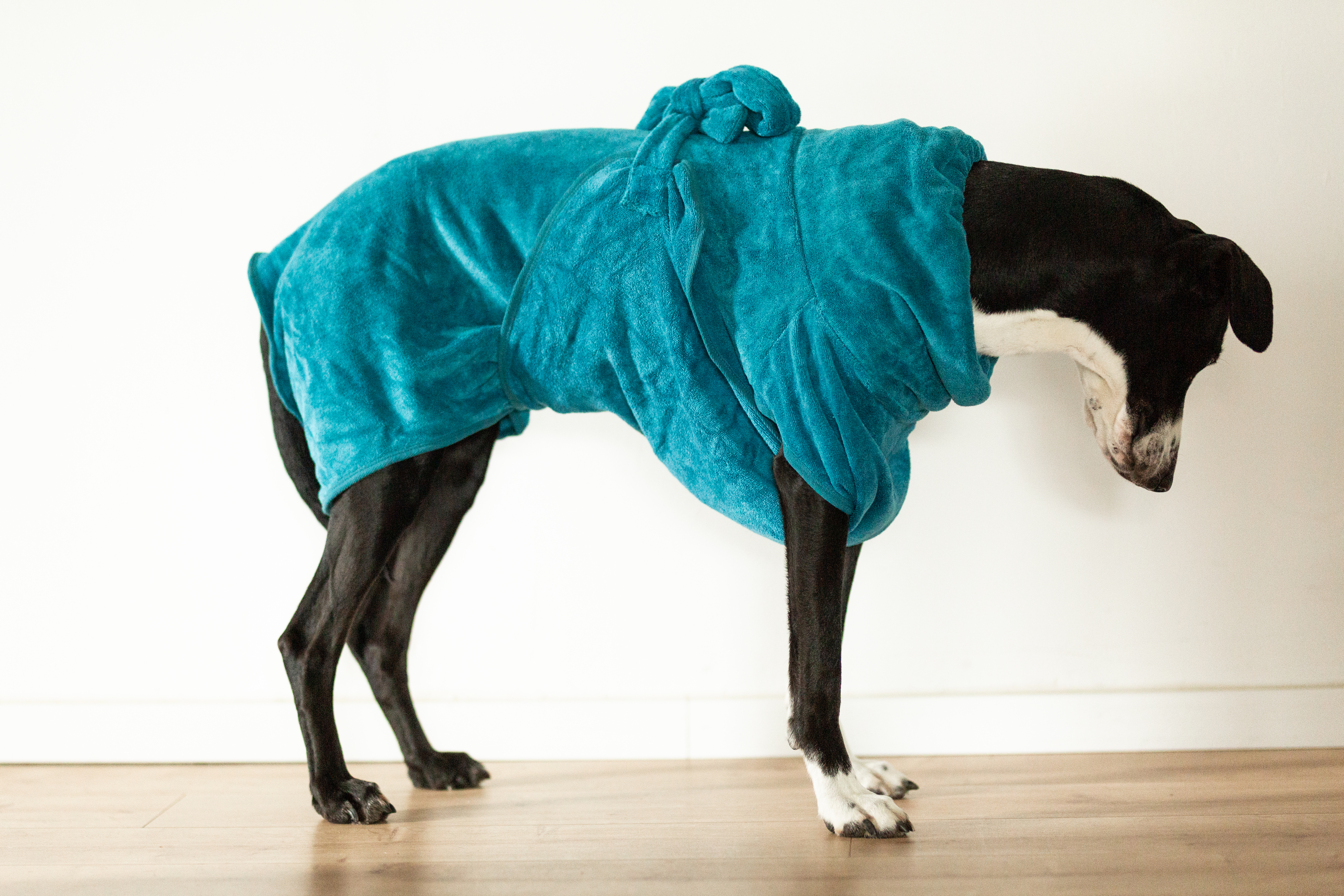 Hundebademantel Microfaser