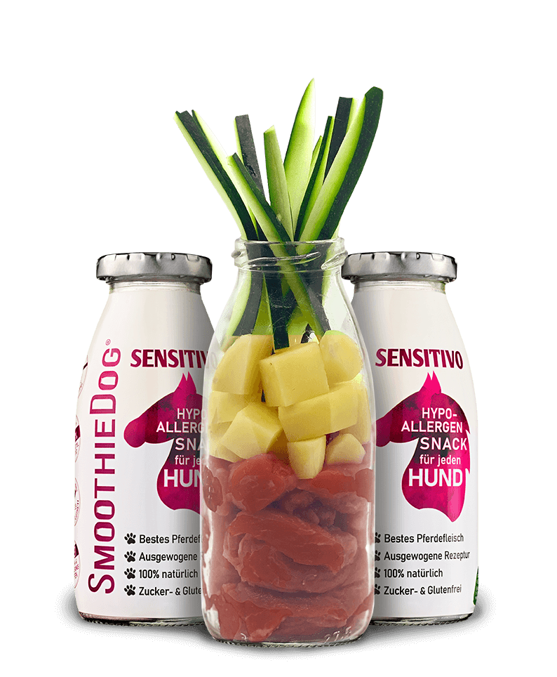 SmoothieDog Hunde Smoothie Sensitivo