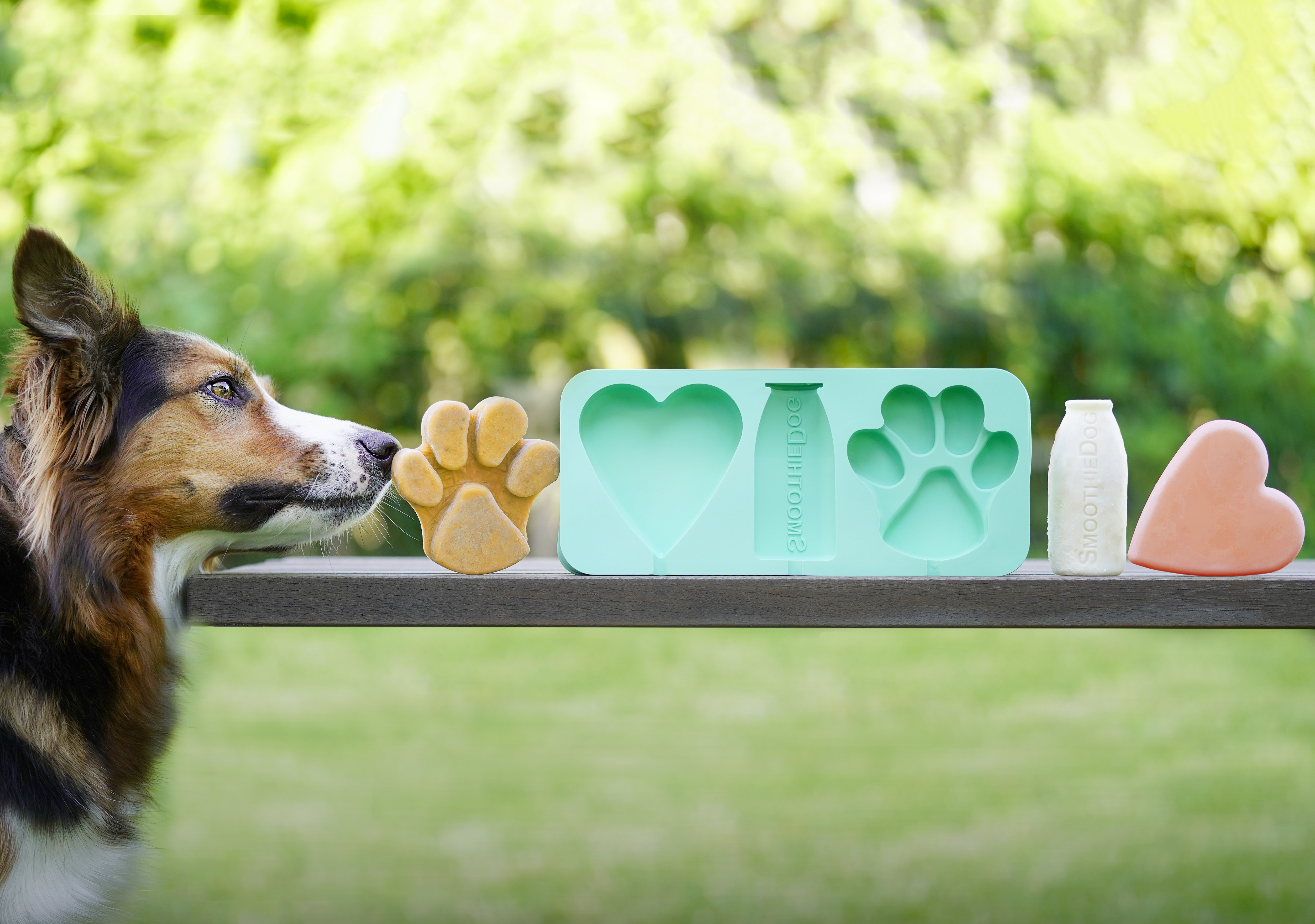 SmoothieDog Eisform